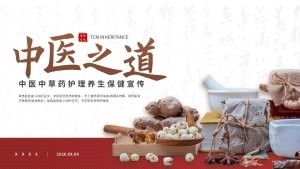国风中医文化中草药护理养生保健宣传PPT模板