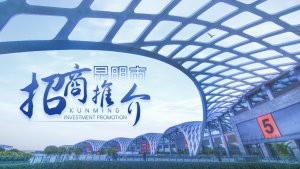 蓝色商务风招商推介会招商引资PPT模板