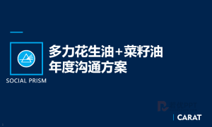 多力花生油沟通与传播执行方案（PDF版）