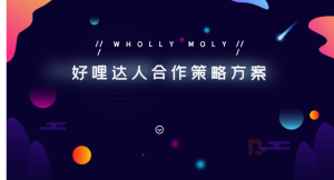 好哩达人合作策略方案 （PDF）