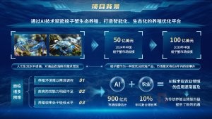 蓝色海洋风蟹生态养殖平台PPT模板