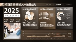 黑金风项目介绍互联网比赛PPT模板